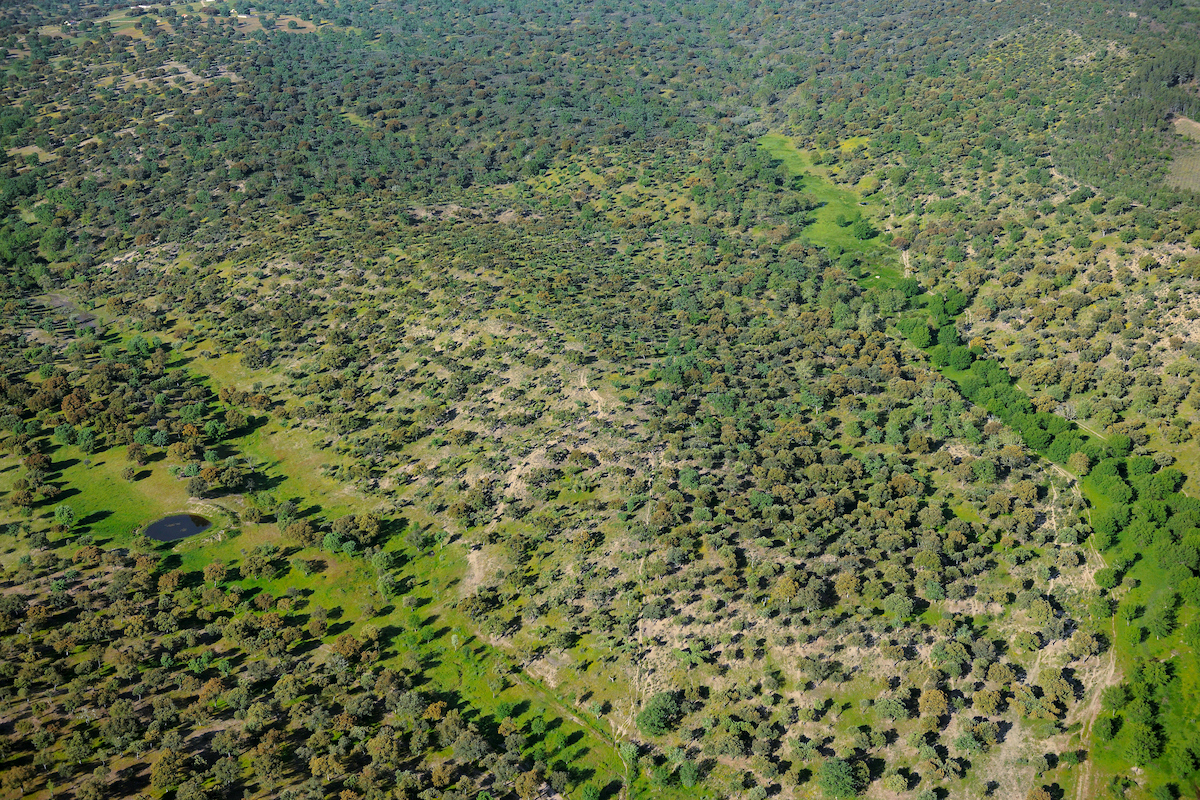Aerial image.Campanarios de Azába reserve,  Salamanca Region, Castilla y León, Spain